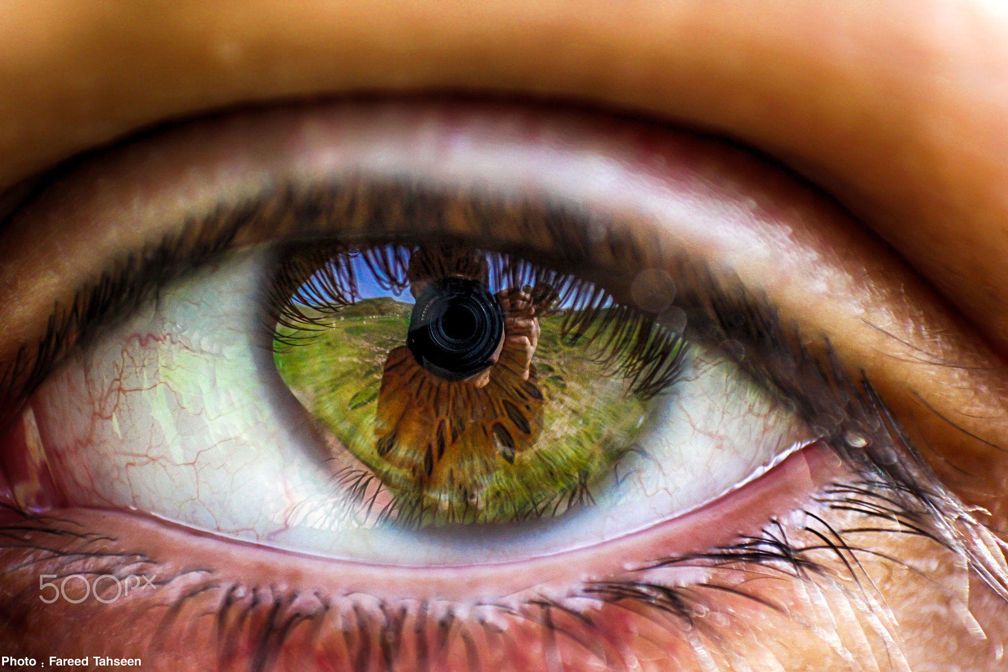 Ищущие глаза. Макросъемка глаза человека. Фото глаза. Глаз крупным планом. Отражение в зрачке.