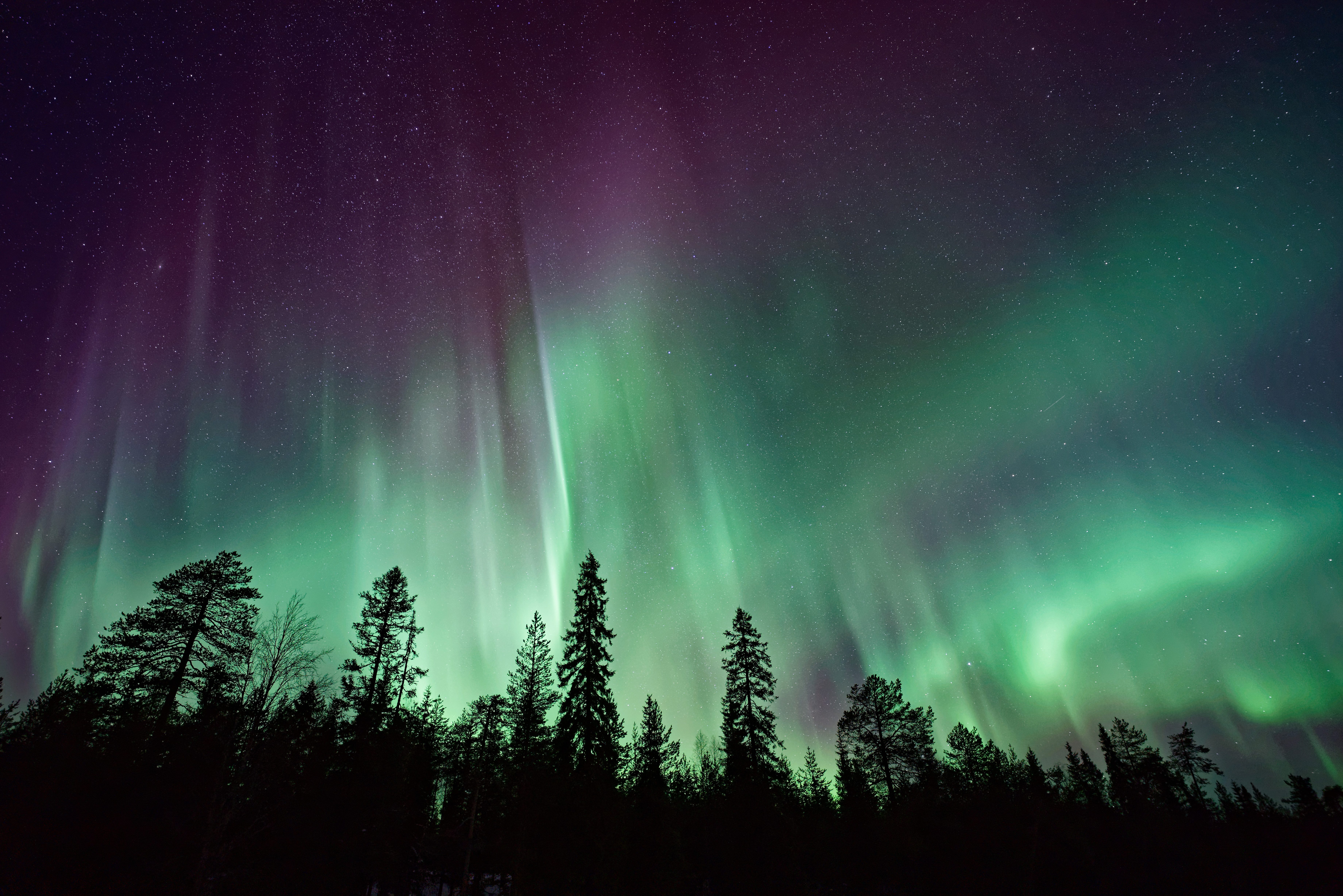 Фото северного сияния. Aurora Borealis Северное сияние. Северное сияние Нижневартовск. Северное сияние Northern Lights. Северное сияние Ухта 2022.