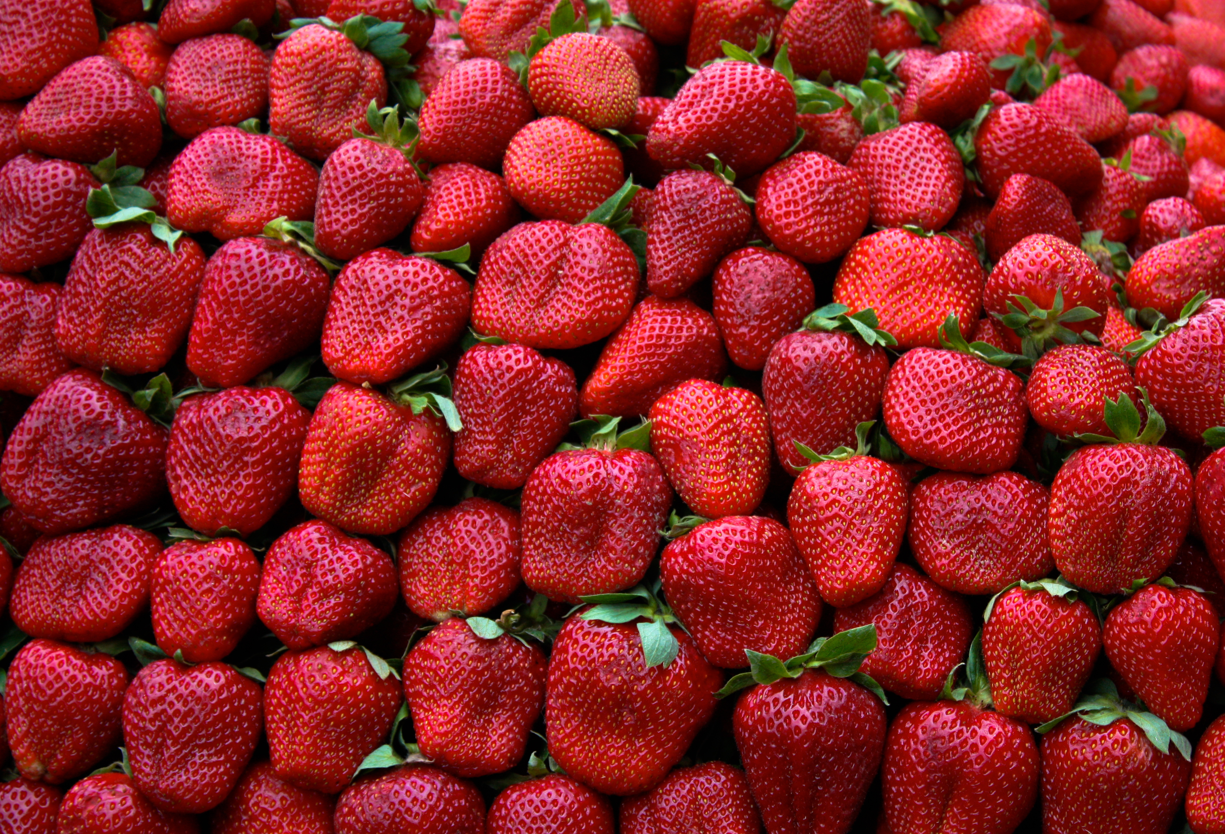 Скачать обои клубника, ягоды, листики, strawberry, berries разрешение 960x8...