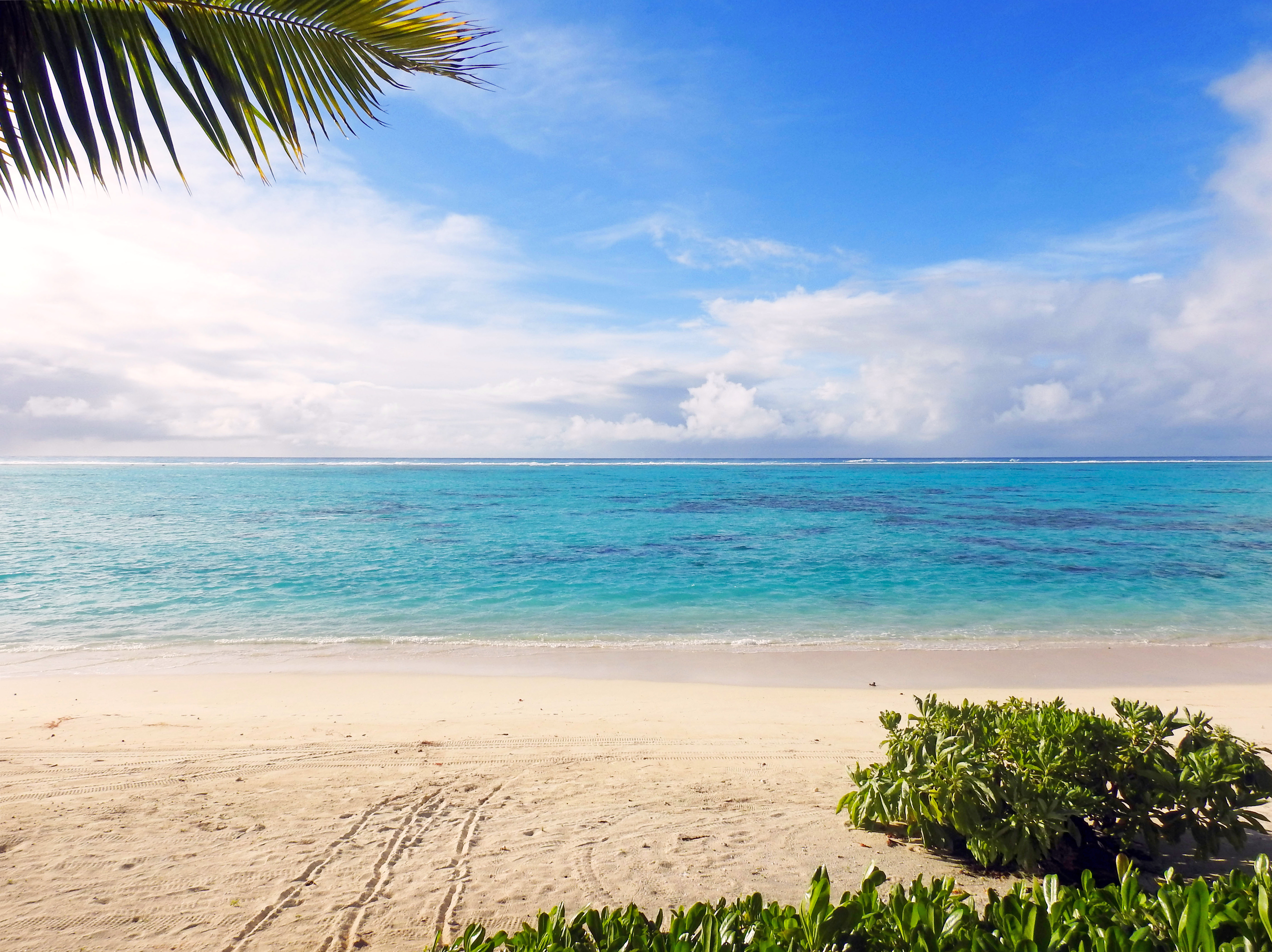 Tropical beach. Море пляж. Морской пляж. Тропический пляж. Тропики море пляж.