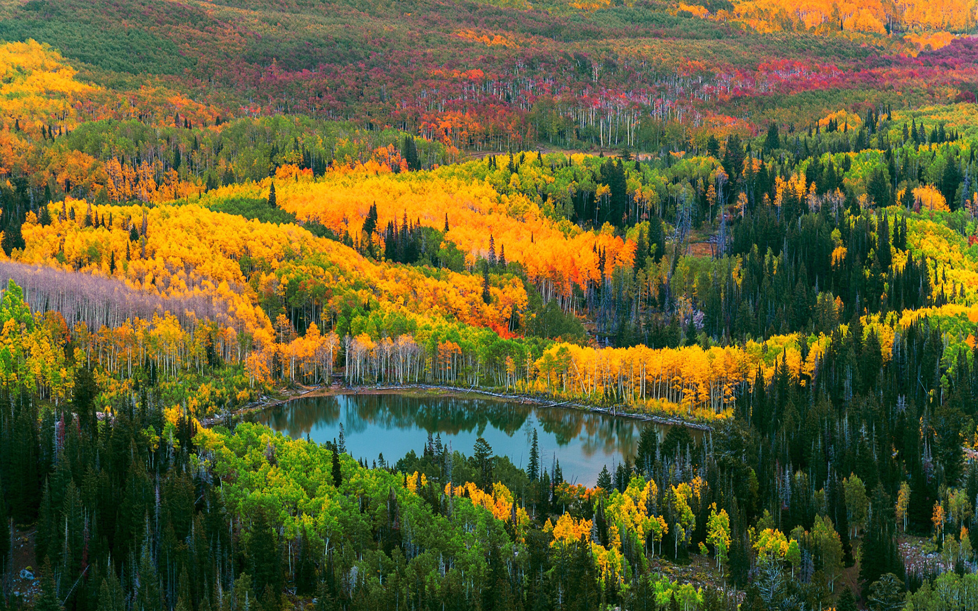 Обои деревья, озеро, природа, лес, осень, trees, lake, nature, forest, autumn разрешение 1920x1200 Загрузить