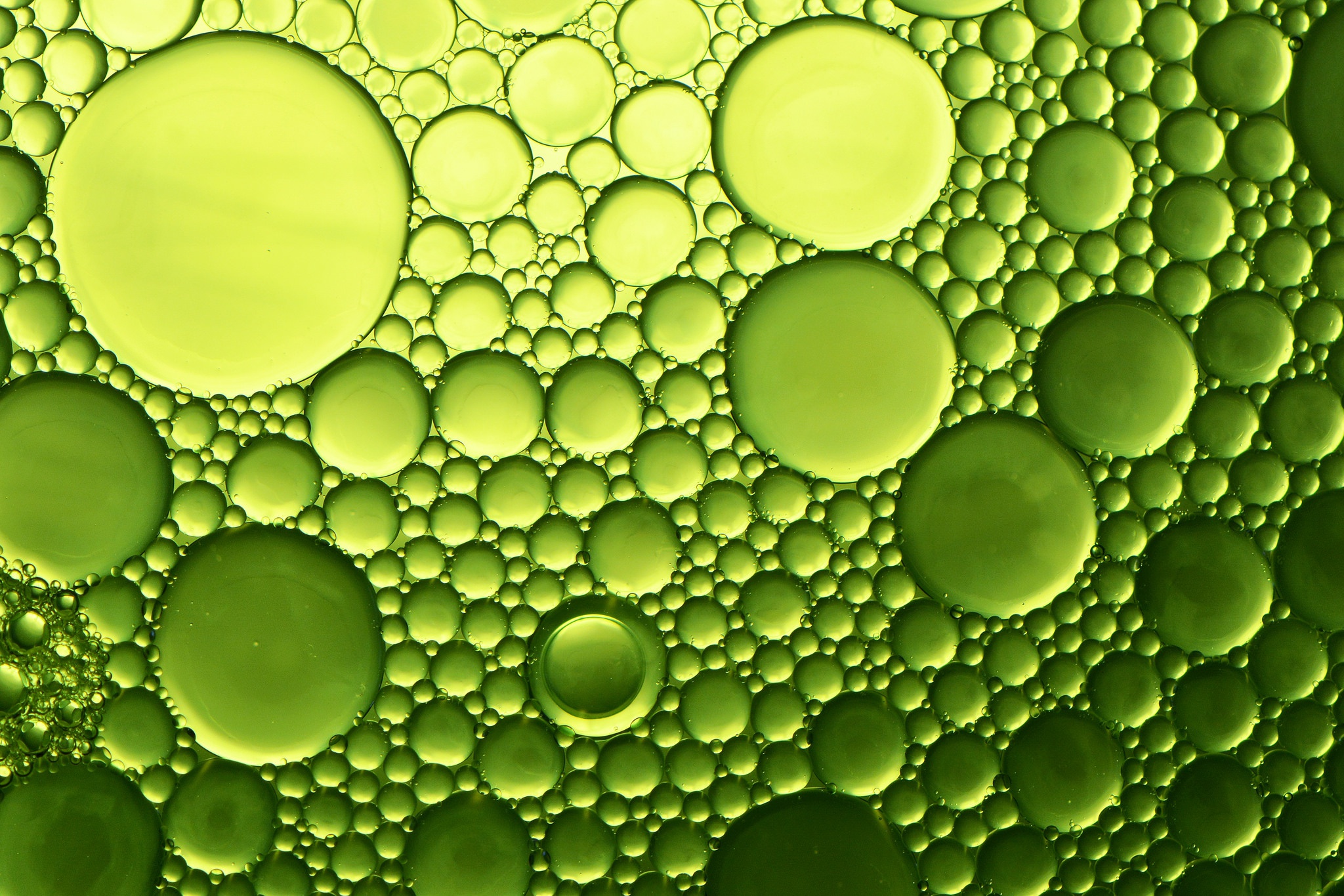 Виниловые обои пузырями. Абстракция пузыри. Вода абстракция. Абстракция макро обои. 3д обои абстракция пузыри.