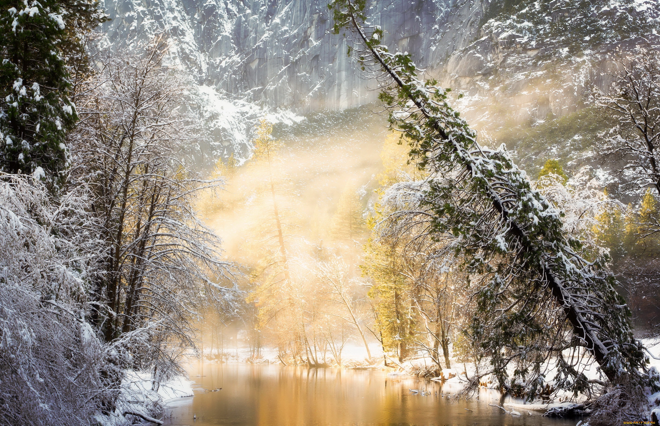 Обои река, солнце, природа, лес, зима, river, the sun, nature, forest, winter разрешение 2710x1750 Загрузить