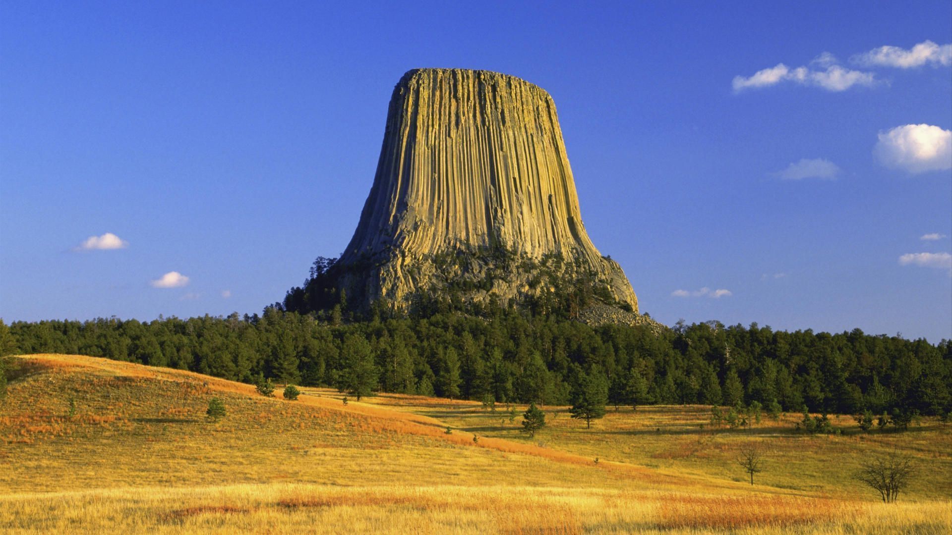 Обои деревья, осень, сша, плато, вайоминг, башня дьявола, trees, autumn, usa, plateau, wyoming, devil's tower разрешение 1920x1080 Загрузить