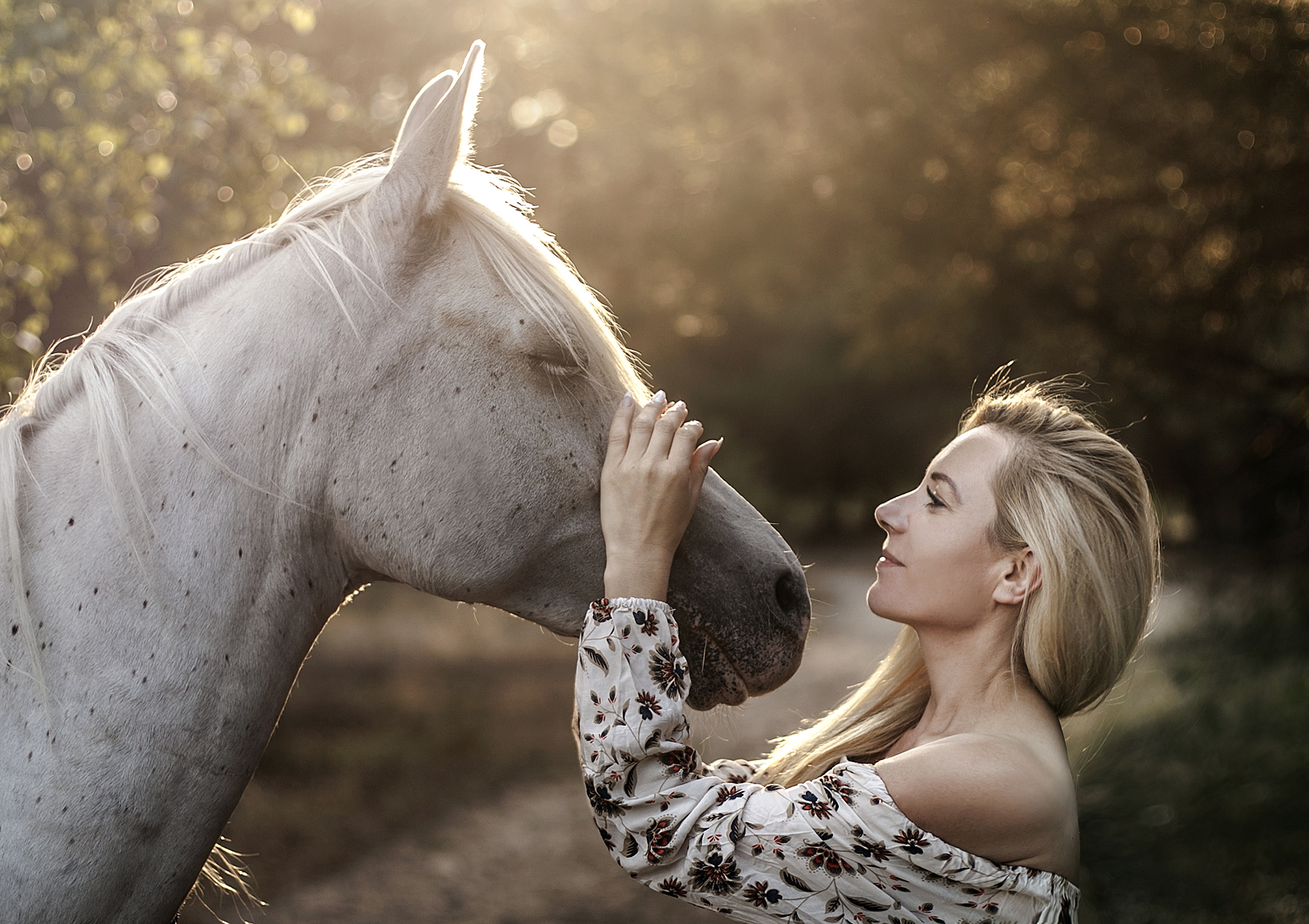 Horse girl. Девушка гладит лошадь. Девушка блондинка на лошади. Блондинка на белой лошади. Девушка с белым конем.