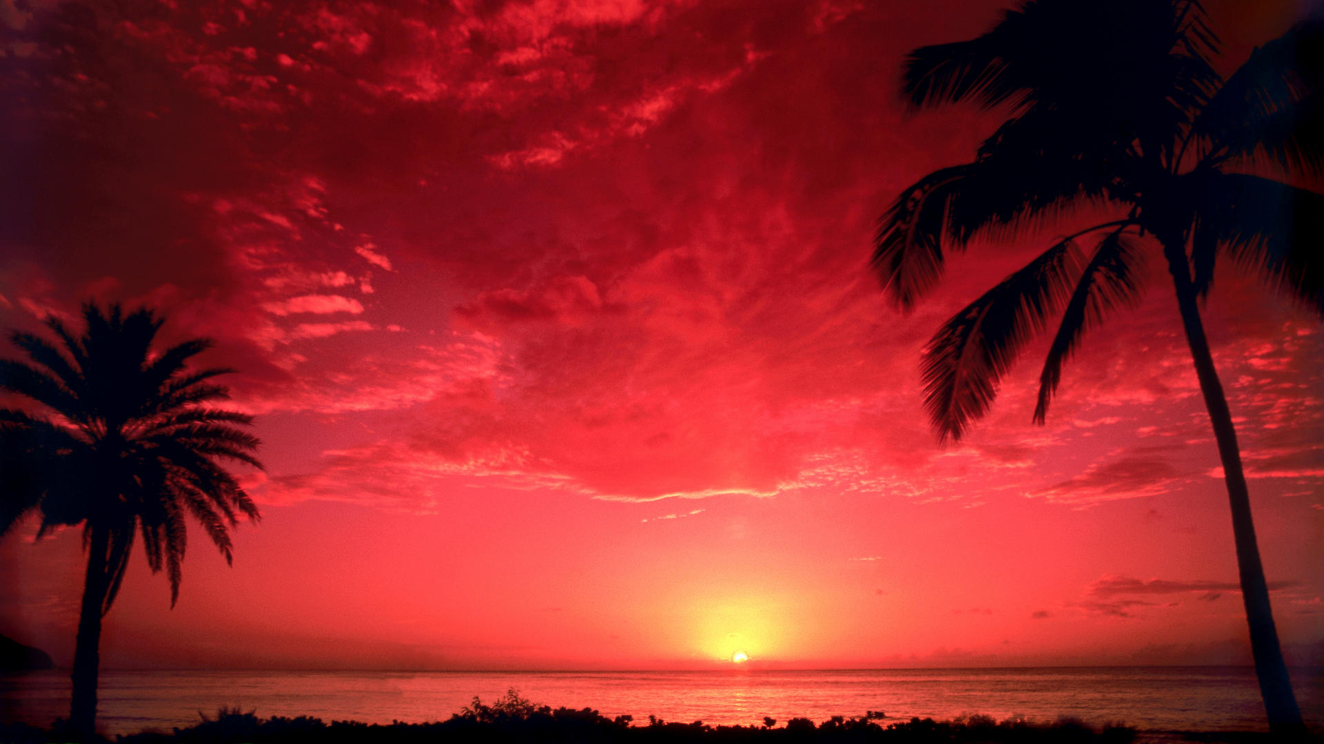 Обои небо, закат, море, горизонт, пальмы, the sky, sunset, sea, horizon, palm trees разрешение 1920x1080 Загрузить