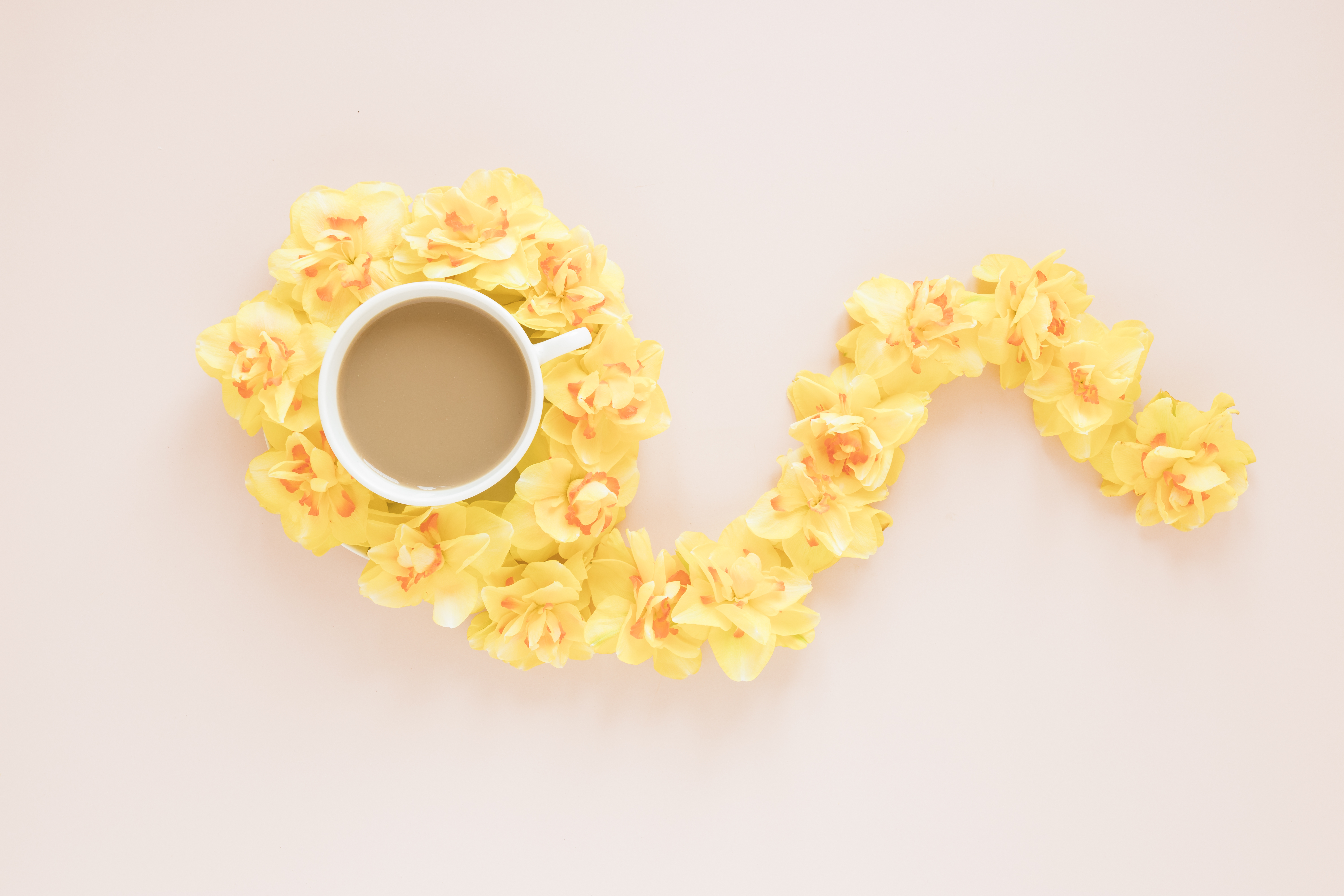 Обои цветы, фон, кофе, чашка, желтые, орхидеи, композиция, flowers, background, coffee, cup, yellow, orchids, composition разрешение 6000x4000 Загрузить