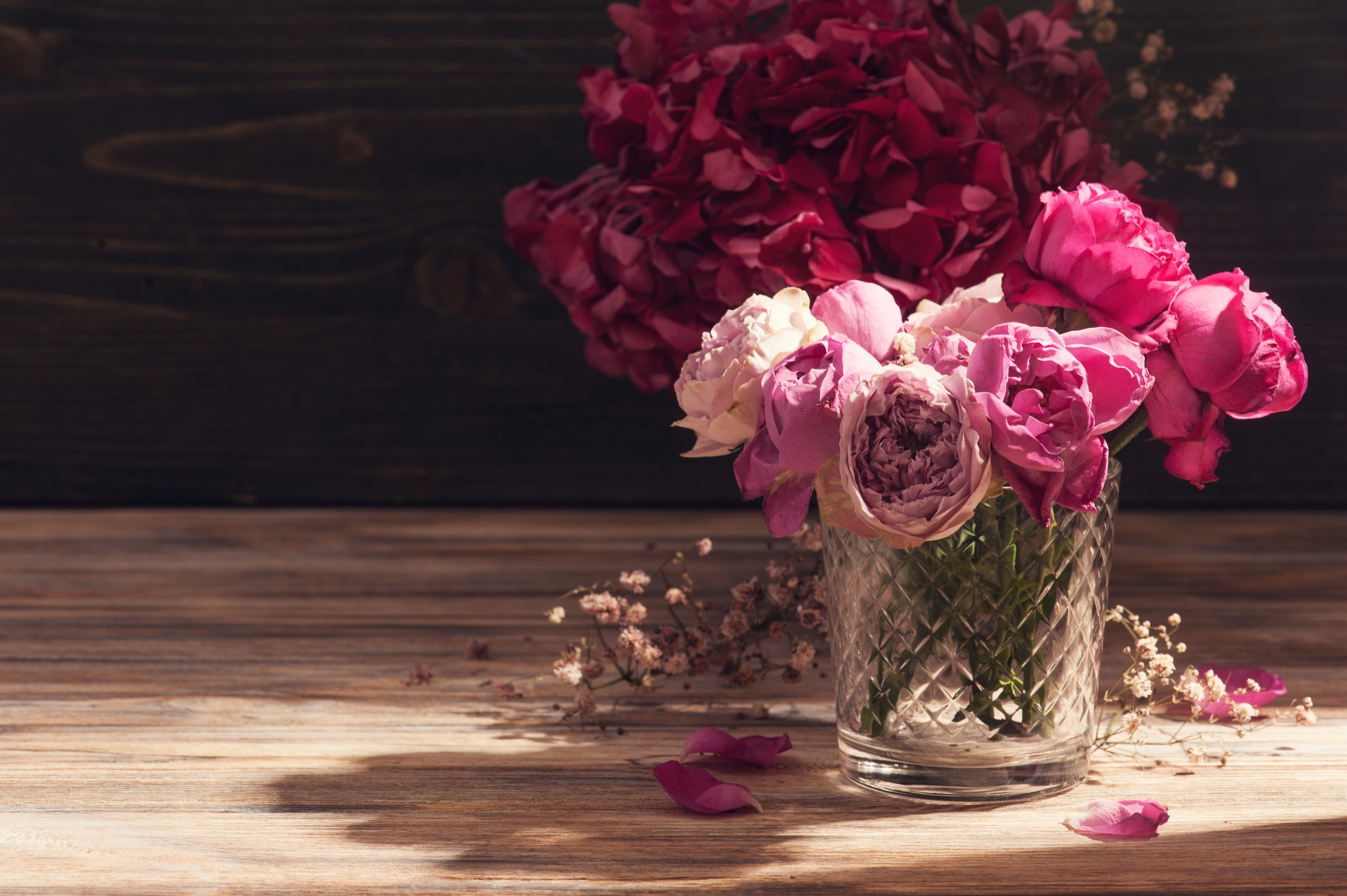 Обои цветы, розы, красные, ваза, гортензия, irina bort, flowers, roses, red, vase, hydrangea разрешение 4256x2832 Загрузить