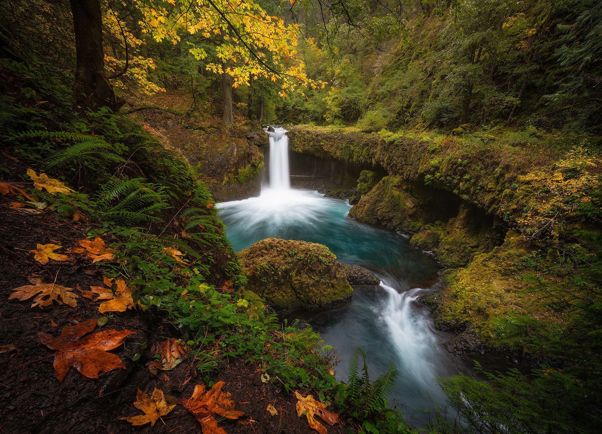 Обои лес, водопад, осень, forest, waterfall, autumn разрешение 2000x1443 Загрузить