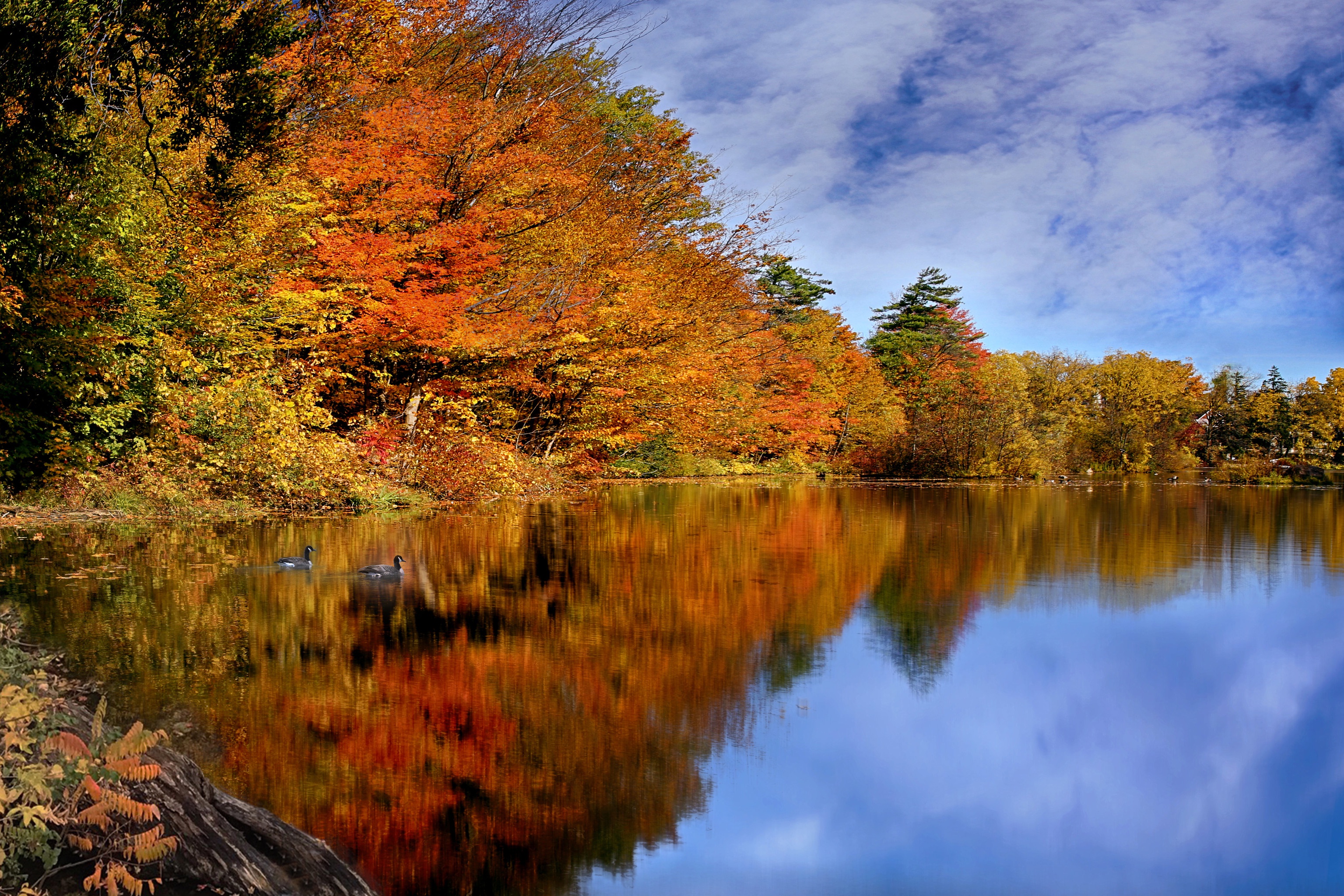 Обои небо, река, осень, канада, the sky, river, autumn, canada разрешение 3071x2048 Загрузить