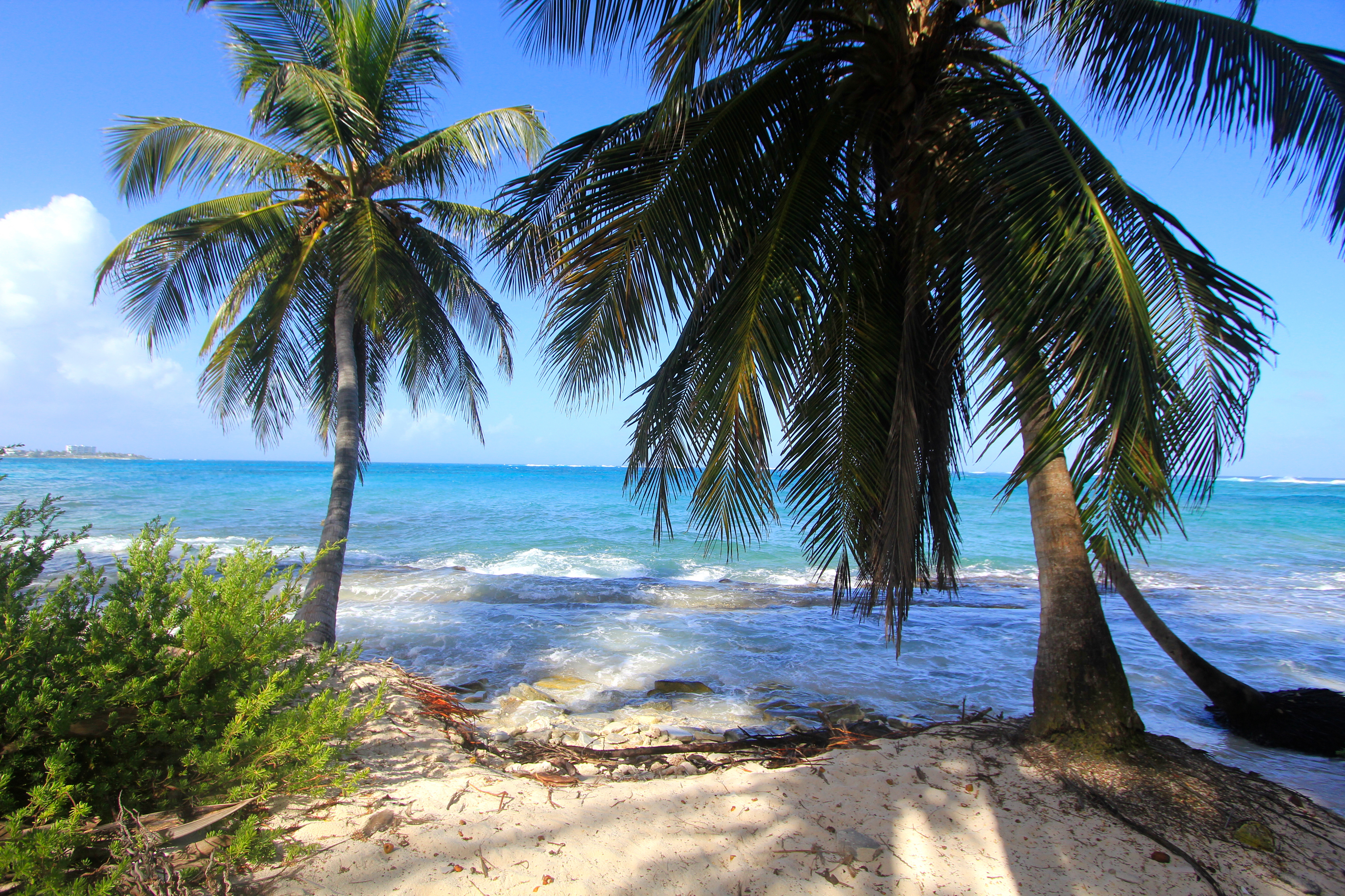 Beach natural