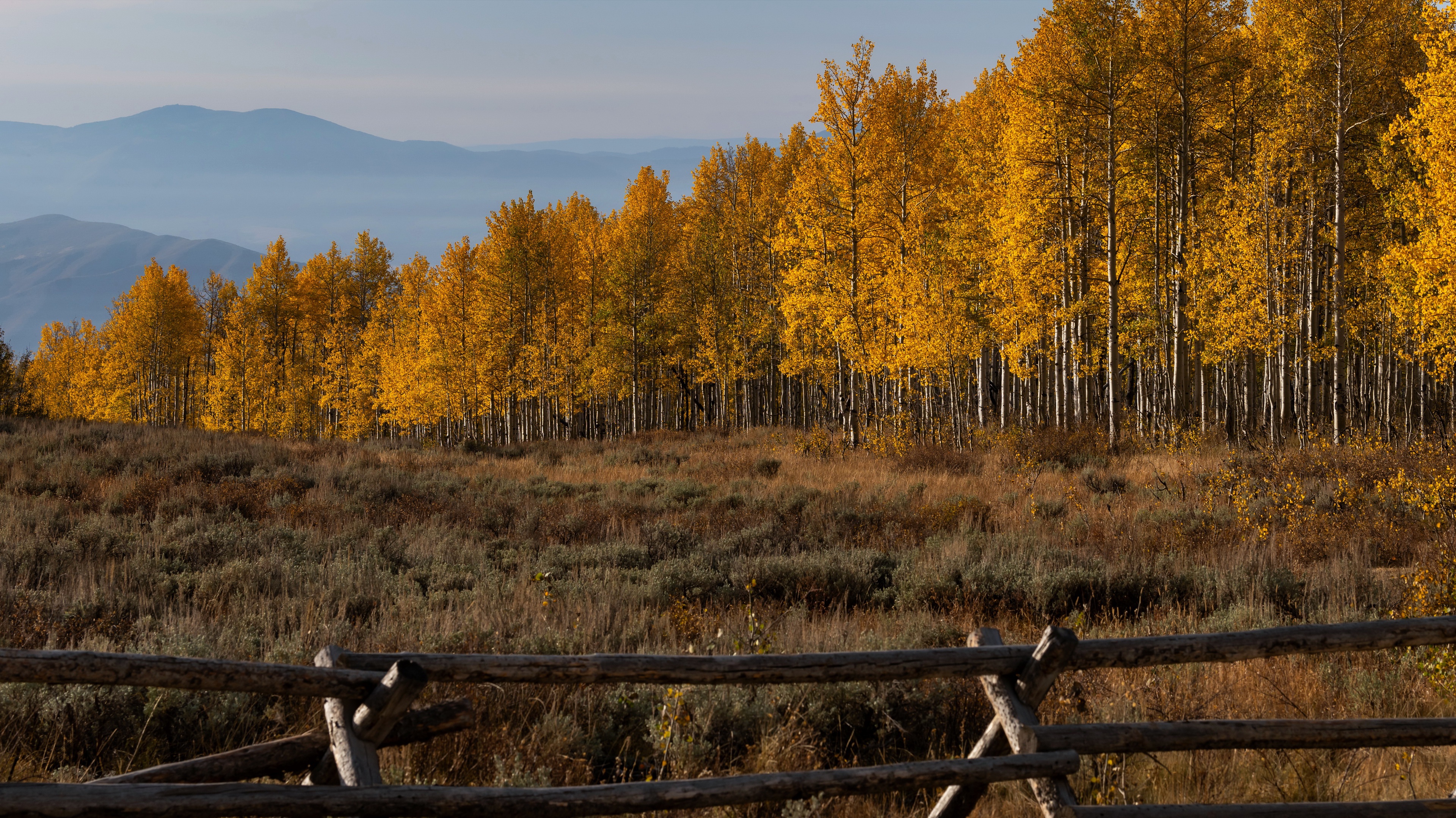 Обои деревья, осень, забор, trees, autumn, the fence разрешение 3840x2160 Загрузить