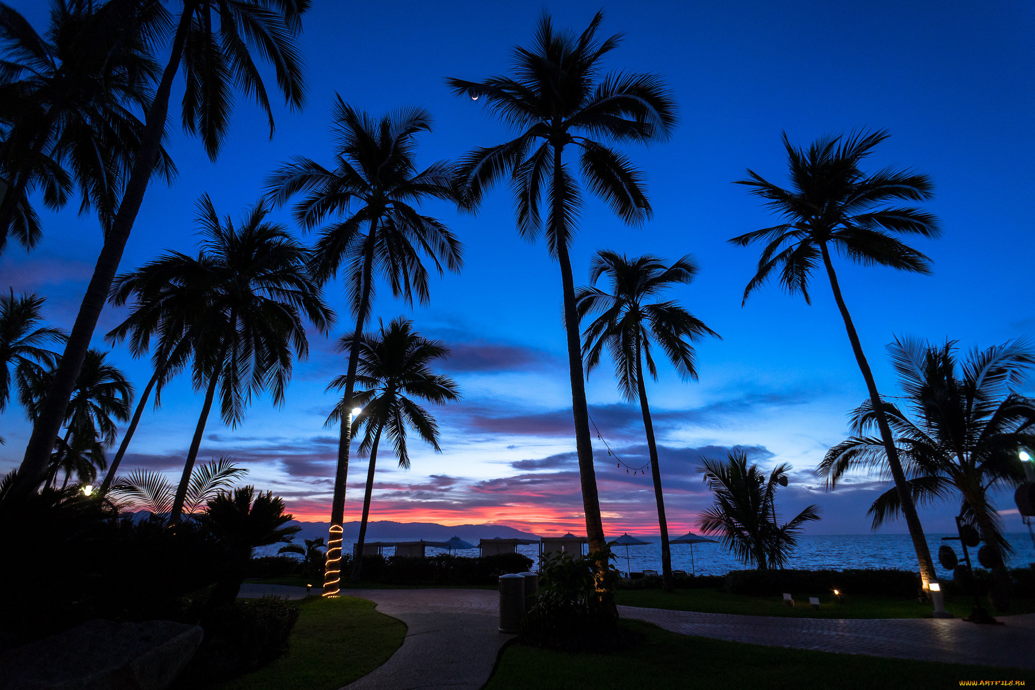 Обои вечер, пальмы, the evening, palm trees разрешение 2048x1365 Загрузить